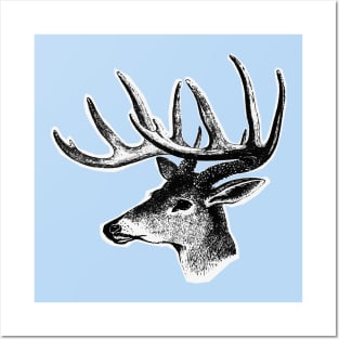 Deer head. Horned deer Posters and Art